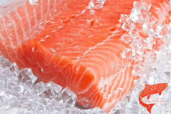 فیله سالمون 500 گرمی