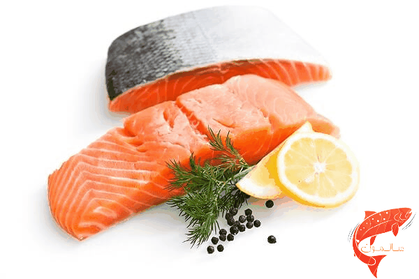 پورشن(برش) سالمون 100 گرمی